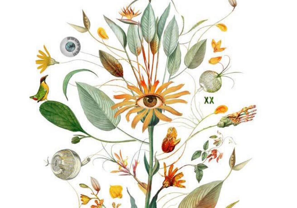Arnica_Oculus_Auditivus_XX_Paola_Tassetti_Tecnica_mista_con_ritocco_ad_olio_e_nchiostro_2020.jpg