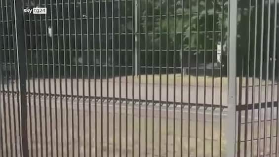 bologna smantellate due bande di ladri d appartamenti