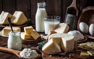 Dairy products assortment shot on rustic wooden table. Dairy products included are milk, yogurt, butter, goat cheese, mozzarella, ricotta, Parmesan cheese, emmental cheese, eggs and hard cheese. Low key DSRL studio photo taken with Canon EOS 5D Mk II and Canon EF 100mm f/2.8L Macro IS USM