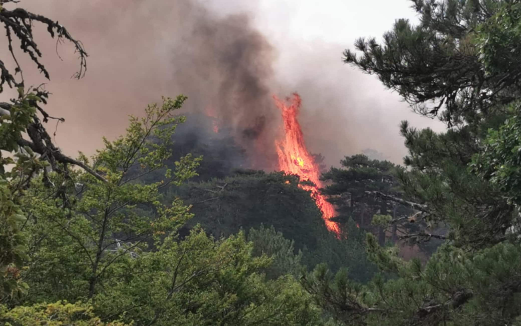 Incendi Calabria