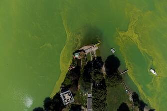 epa10815894 An image taken with a drone shows the water of Lake Lugano coloured in green and yellow due to a strong Cyanobacteria (Blue-Green Algae) proliferation, near Riva San Vitale, Switzerland, 23 August 2023. The proliferation of blue-green algeae is favoured by higher water temperatures. In cases of heavy proliferation, the bacteria can release substances that are potentially dangerous to humans and animals.  EPA/Elia Bianchi