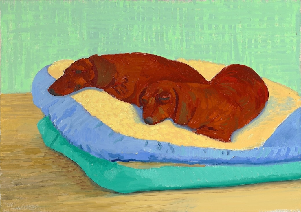 David_Hockney_Dog_Painting_19_1995_©_David_Hockney._Photo_Credit_Richard_Schmidt_Collection_The_David_Hockney_Foundation.jpg