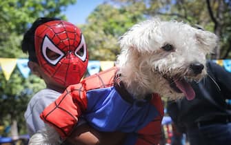 A boy wearing a Spiderman mask holds his dog at a costume parade during carnival in Caracas, Venezuela on February 19, 2023. (Photo by Javier Campos/NurPhoto via Getty Images)