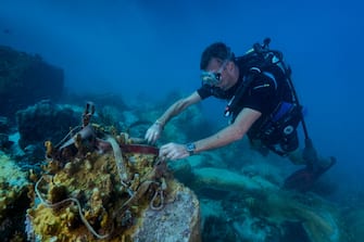 SAINT-MARTIN, FRENCH ANTILLES - NOVEMBER 2017: Franck Roncuzzi, a member of the French Agency for Biodiversity and head of environmental police who works at the Marine Natural Park of St. Martin is diving to take a stock few weeks after hurricane Irma on November 14, 2017, Saint-Martin, French Antilles. During his dive, he noticed a lot of debris from boats or other objects from the island. (Photo by Alexis Rosenfeld/Getty Images)