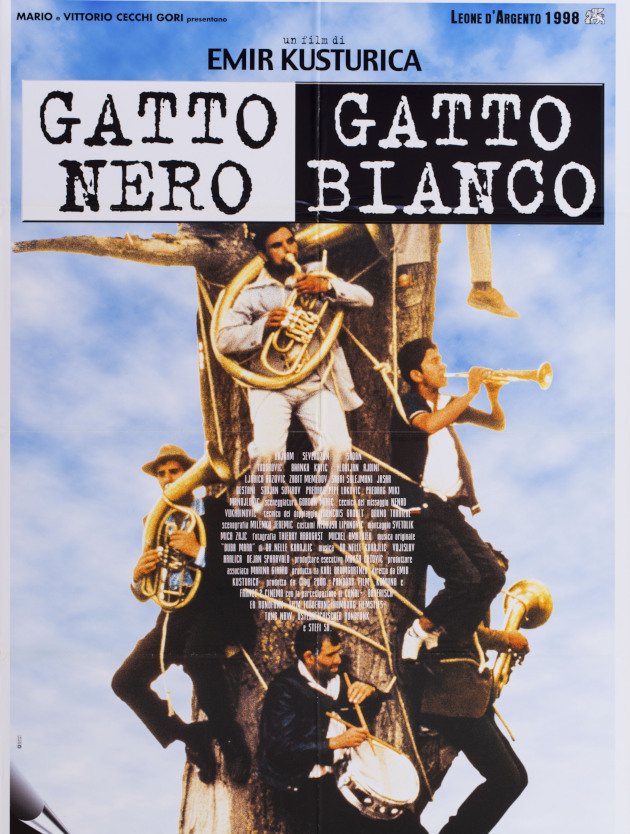 Gatto nero, gatto bianco