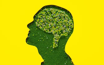 Flowers petals and leaves forming brain shape inside male's head silhouette made out of grass on yellow background.