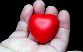 modellino di un cuore in mano