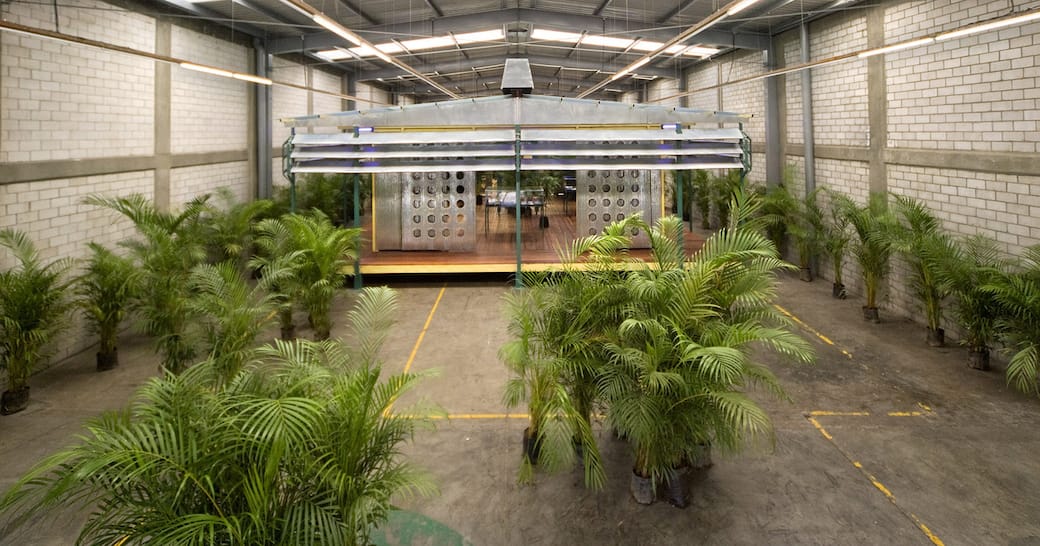 Rirkrit Tiravanija, untitled 2006 (palm pavilion), 2006-08. Veduta dell’installazione, kurimanzutto, Città del Messico, 2008. Courtesy l’artista e kurimanzutto