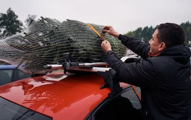 CAMBRIDGE, ENGLAND - NOVEMBER 28:  A Christmas tree is strapped to the roof of a car at the Cambridge Christmas Tree Experience on November 28, 2020 in Cambridge, England. The family run farm has been growing trees for over thirty years, allowing you to walk around their plantation and select your very own freshly cut tree. This year special measures were in place to keep families safely socially distanced while selecting and purchasing their trees. (Photo by Gareth Cattermole/Getty Images)