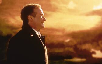 Robin Williams nel film al di là dei sogni