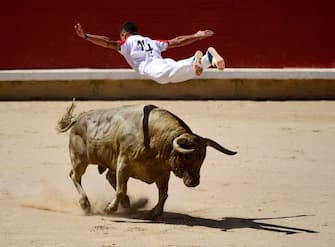 An acrobat jumps over a bull during a bull-leaping show at the San Fermin festival in Pamplona, northern Spain, on July 8, 2023. Thousands of people every year attend the week-long festival and its famous 'encierros': six bulls are released at 8:00 a.m. evey day to run from their corral to the bullring through the narrow streets of the old town over an 850 meters (yard) course while runners ahead of them try to stay close to the bulls without falling over or being gored. (Photo by ANDER GILLENEA / AFP) (Photo by ANDER GILLENEA/AFP via Getty Images)