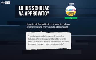 Elezioni programmi partiti ius scholae