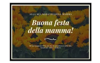 Un campo di girasoli