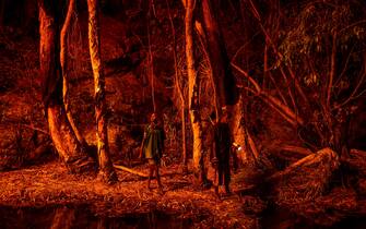 “Salvare le foreste con il fuoco” dell’australiano Matthew Abbott