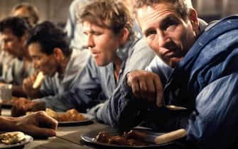 Paul Newman in una scena di Nick mano fredda