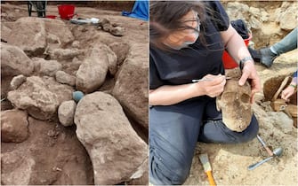 mont'e prama sardegna scavi archeologici giganti