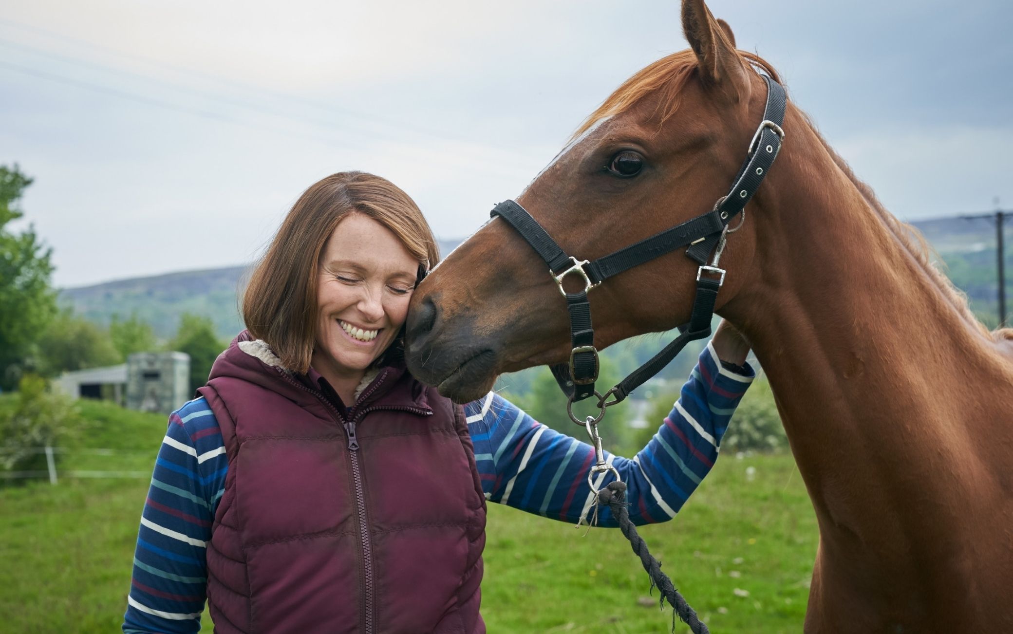 Dream Horse