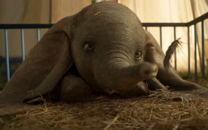 Dumbo, le curiosità sul film diretto da Tim Burton