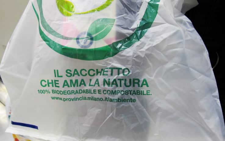 Impatto ambientale dei sacchetti di plastica per la spesa