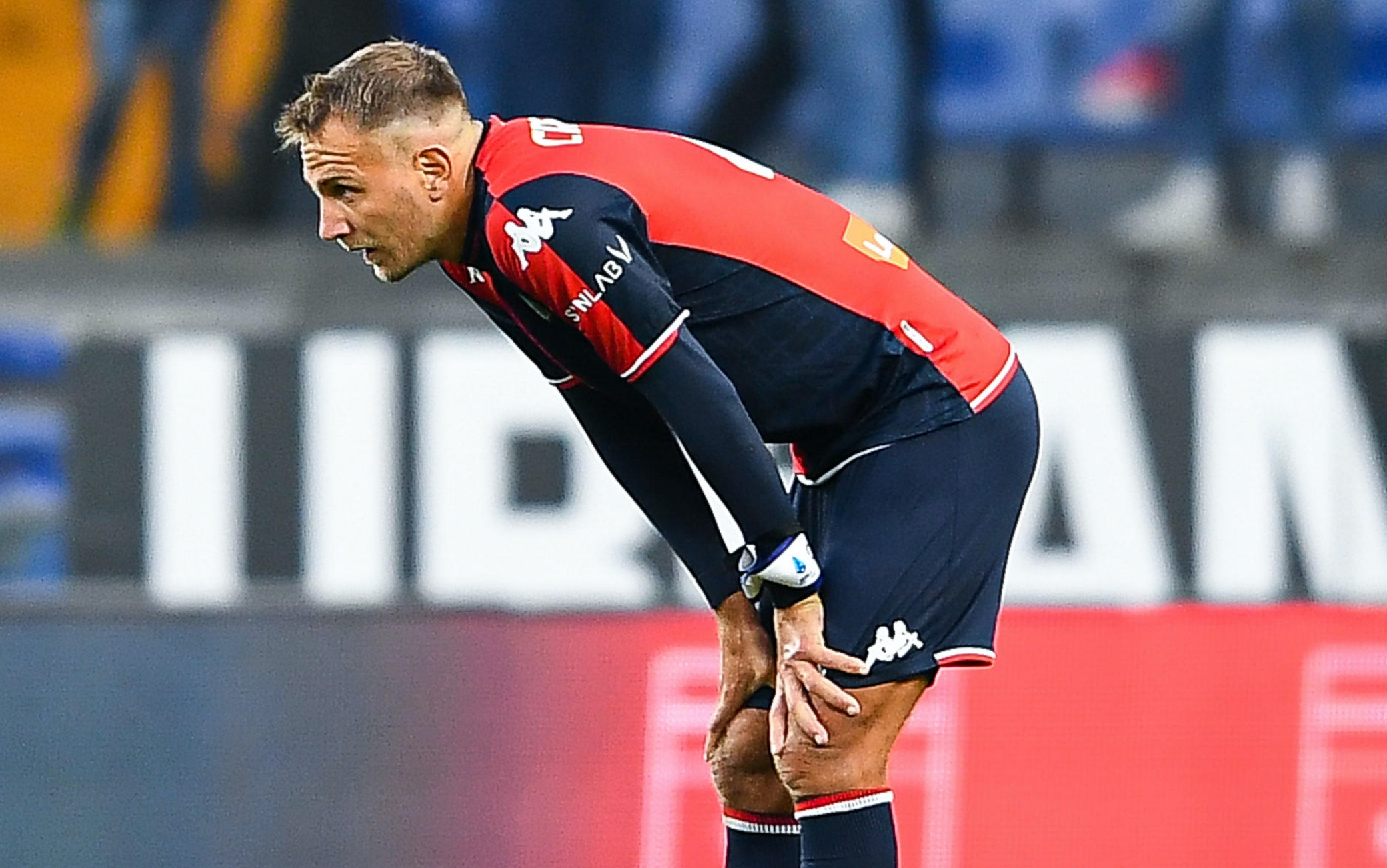 Domenico Criscito