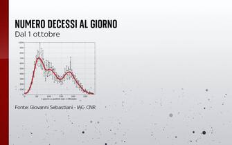 L'andamento dei decessi giornalieri dall'1 ottobre