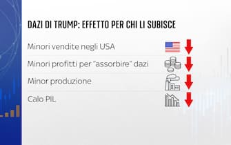 Grafiche Numeri
