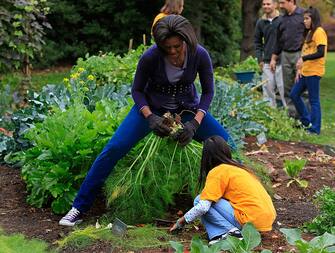 WASHINGTON - OCTOBER 29:  First Lady Michelle Obama and students from Bancroft Elementary School and Kimball Elementary School harvest vegetables in the garden on the South Lawn of the White House on October 29, 2009 in Washington, DC.  First Lady Michelle Obama invited local school children to help with the fall vegetable harvest in the garden at the White House.  (Photo by Mark Wilson/Getty Images)
