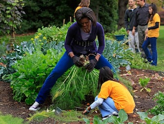 WASHINGTON - OCTOBER 29:  First Lady Michelle Obama and students from Bancroft Elementary School and Kimball Elementary School harvest vegetables in the garden on the South Lawn of the White House on October 29, 2009 in Washington, DC.  First Lady Michelle Obama invited local school children to help with the fall vegetable harvest in the garden at the White House.  (Photo by Mark Wilson/Getty Images)