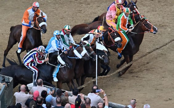 palio di siena dell assunta le contrade partecipanti fantini e cavalli favoriti