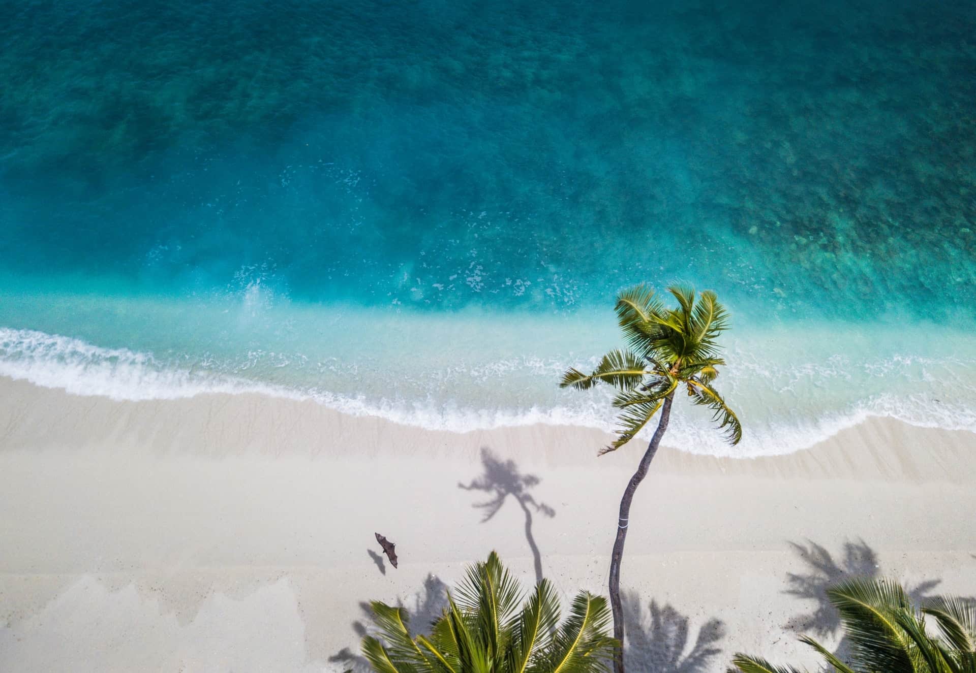 nattu-adnan-atSUvc1hMwk-unsplash.jpg