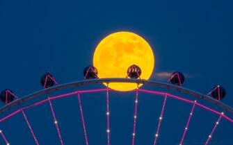 Superluna Novembre