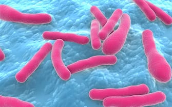 Biomedical illustration of Clostridium botulinum bacteria.
