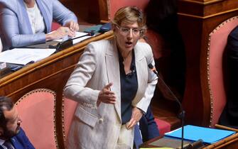 Elezioni