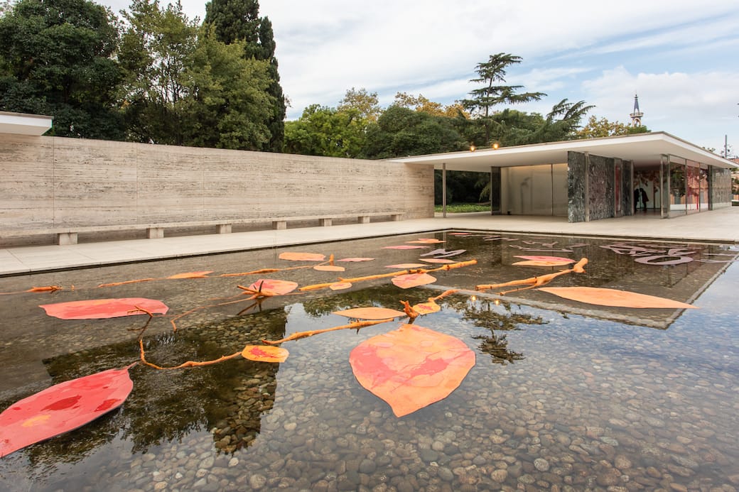 Diàlegs amb la Natura. Photo by Anna Mas