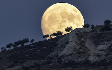 The waxing gibbous moon rises behind trees on a hill in Jindayris, in the rebel-held part of Syria's northwestern province of Aleppo, on July 31, 2023 a day ahead of the "sturgeon supermoon". (Photo by Rami al SAYED / AFP)