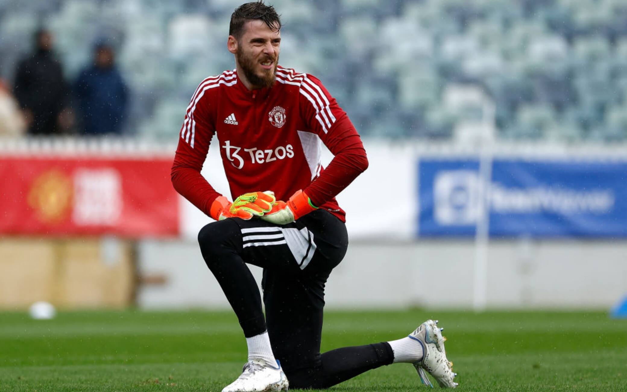 Calciomercato Daniele Mannini trova squadra grazie al suo cane Sky Sport