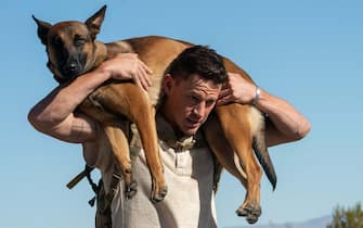 Una scena del film Io e Lulù