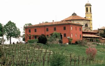 AGRITURISMO CASTELLO DI LUZZANO ROVELASCA PAVIA PRODUZIONE DI VINO VIGNETI (PAVIA - 2004-08-02, Mantero Letizia) p.s. la foto e' utilizzabile nel rispetto del contesto in cui e' stata scattata, e senza intento diffamatorio del decoro delle persone rappresentate