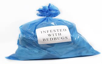 Bag with things infested with bedbugs