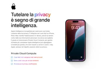 Il tema della privacy