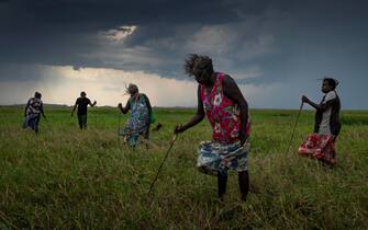 “Salvare le foreste con il fuoco” dell’australiano Matthew Abbott