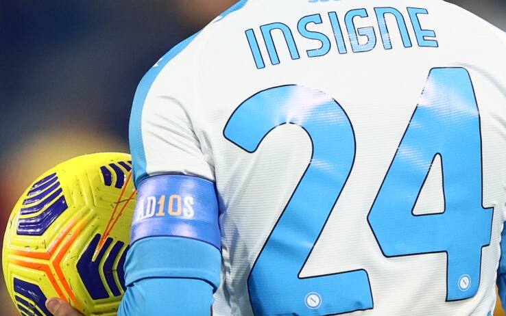 insigne_fascia