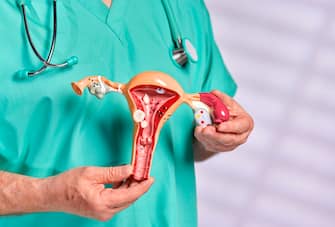 Obstetricianâ  Gynecologist holding teaching tool model of women's uterus and ovary and discussing the common diseases associated with women's health. Dressed in green scrubs