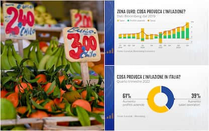 Inflazione, aumento non tanto per salari ma per alti profitti aziende