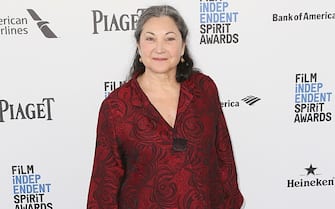 SANTA MONICA, CA - FEBRUARY 27:  Actress Robin Bartlett attends the 2016 Film Independent Spirit Awards on February 27, 2016 in Santa Monica, California.  (Photo by David Livingston/Getty Images)