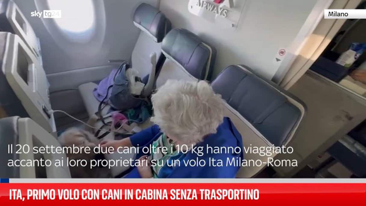 Ita, primo volo con due cani in cabina senza trasportino