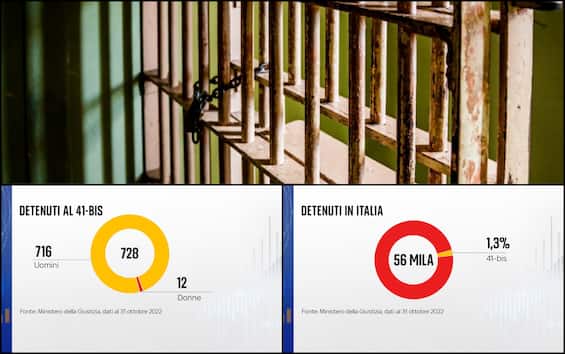 Quanti Sabati E Domeniche Ci Sono In Un Anno 41 bis, quanti sono i detenuti e cosa prevede | SKY TG24
