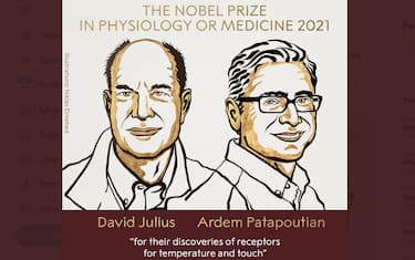 nobel_medicina_2021_vincitori