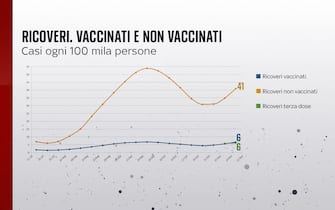 Grafiche coronavirus: il confronto dei ricoveri di vaccinati e non vaccinati