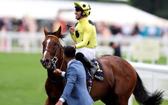ASCOT, ENGLAND - JUNE 20: Neil Callan riding Triple Time smiles after winning The Queen Anne Stakes one day one during Royal Ascot 2023 at Ascot Racecourse on June 20, 2023 in Ascot, England. (Photo by Tom Dulat/Getty Images for Ascot Racecourse)
